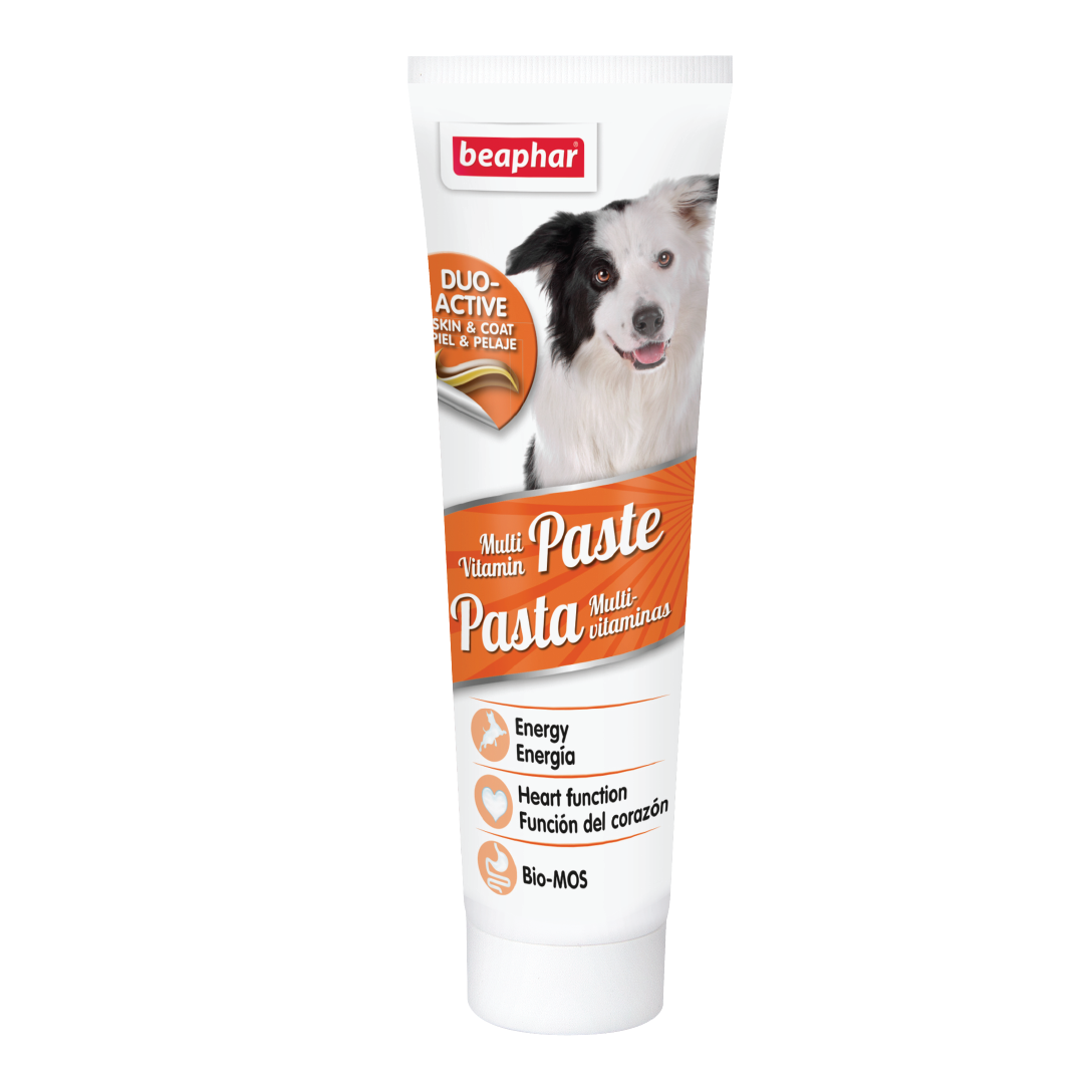 Gel dinh dưỡng chó chó - Beaphar Multivitamin Paste 100gr